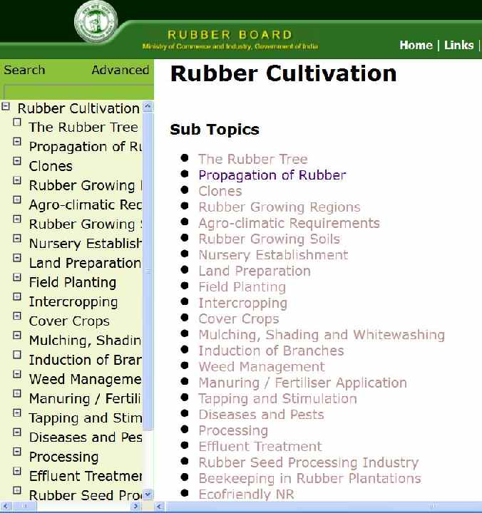 Rubber Cultivation